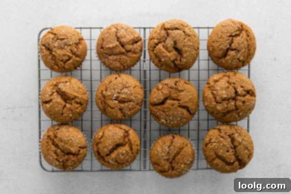 Spiced Gingerbread Muffins 5 A plate of gingerbread muffins, one with a lemon glaze drizzle.