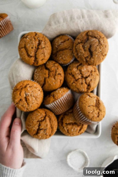 Spiced Gingerbread Muffins 6 Five gingerbread muffins arranged artfully on a white plate, one broken open.