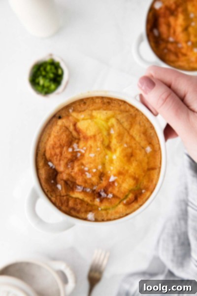 Easy Air Fryer Quiche 5 Air Fryer Quiches on a wire rack