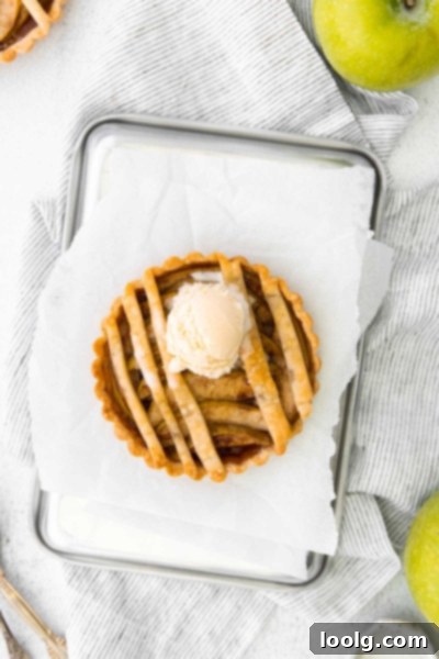 Bite-Sized Apple Tartlets 2 A perfectly baked mini apple tart with a lattice top, golden brown crust, on a white background.