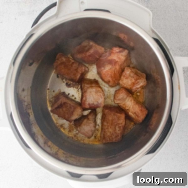 Fall-Apart Instant Pot Pork Shoulder 3 image of a plate of shredded instant pot pork shoulder ready to be served