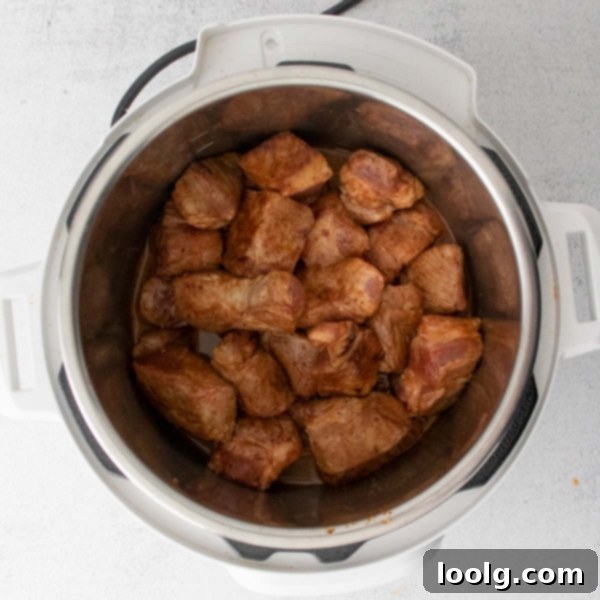 Fall-Apart Instant Pot Pork Shoulder 4 image of an instant pot pork shoulder in an airtight container for storage