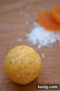 Coconut Apricot Bites Another old photo of Coconut Apricot Bites