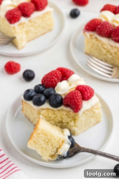 A Slice of Liberty 6 Independence Day Cake, showing the entire cake decorated
