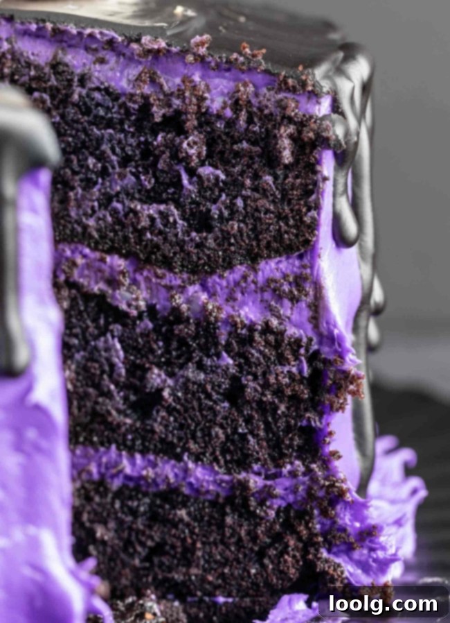 Enchanted Ghost Cake 12 Ghost Cake with purple frosting, black ganache drip, and meringue ghosts on top.