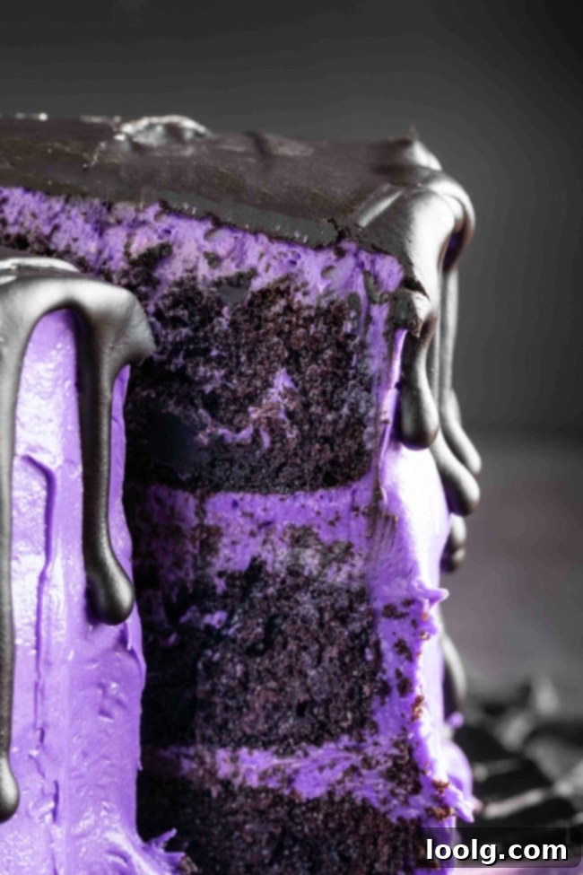 Enchanted Ghost Cake 6 A prepared dark chocolate cake layer on a cooling rack.