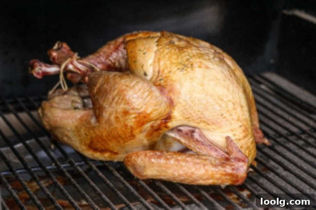 Traeger's Signature Smoked Turkey 4 A close-up shot of a turkey leg being tied with kitchen twine, demonstrating preparation steps.