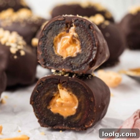 Decadent Chocolate-Dipped Dates 7 Image of two chocolate covered dates that are cut in half, exposing the gooey peanut butter center of the chocolate covered dates.