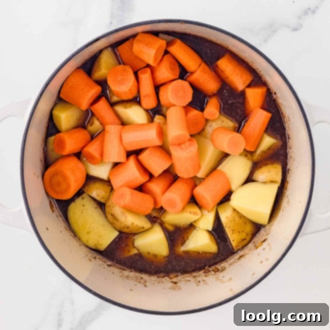 Hearty Venison Stew 13 Step 8: Adding chopped potatoes and carrots with beef broth.