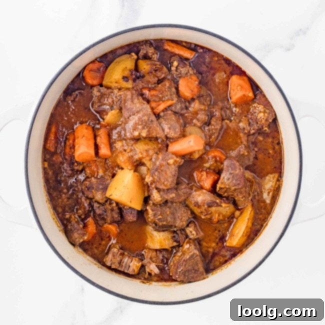 Hearty Venison Stew 17 Step 12: Slow simmering the venison stew until meat is tender.