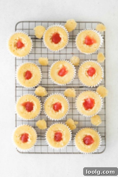 Spring Rhubarb Delights 4 cupcakes with rhubarb jam inside