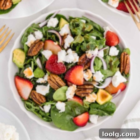 Artisan Goat Cheese Salad 10 a white bowl filled with salad