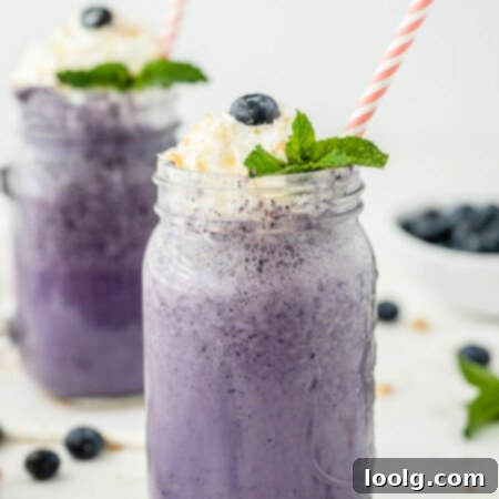 Velvet Berry Dream 6 Creamy Blueberry Milkshake, perfect for vegan and paleo diets