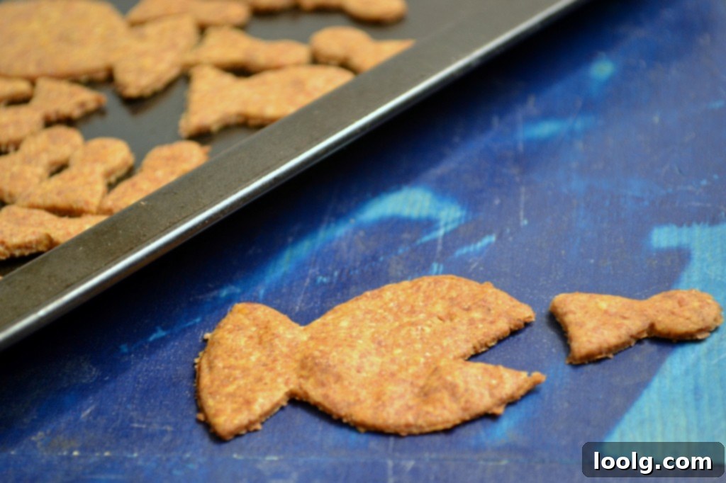 Googly-Eyed Goldfish Cracker Fun A playful image of a goldfish cracker wearing tiny googly eyes, with a humorous caption.