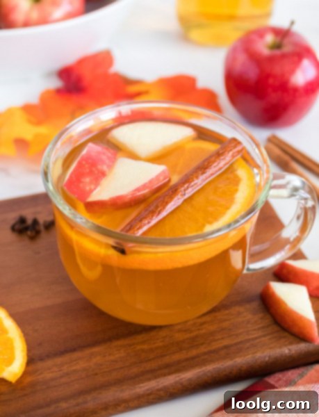 Cozy Spiced Apple Nectar 2 Hot Spiced Apple Cider