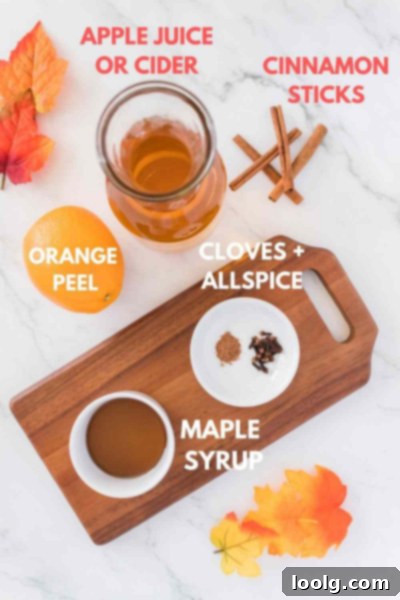 Cozy Spiced Apple Nectar 3 Hot Spiced Apple Cider Ingredients
