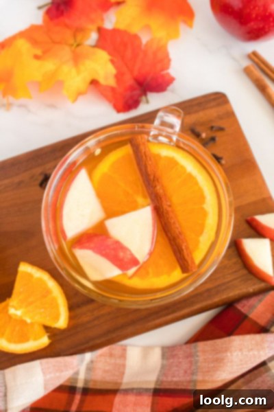 Cozy Spiced Apple Nectar 4 Hot Spiced Apple Cider