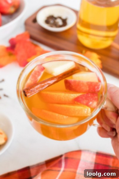 Cozy Spiced Apple Nectar 5 Hot Spiced Apple Cider in cup