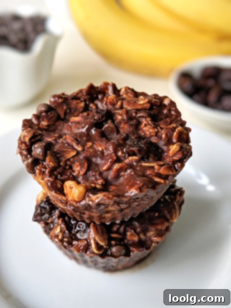 Delicious Banana Granola Bars 5 No-Bake Banana Granola Bars Ingredients