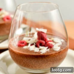 Decadent Chocolate Chia Pudding 1 image of chocolate chia seed pudding garnished with freeze-dried raspberries and coconut slivers