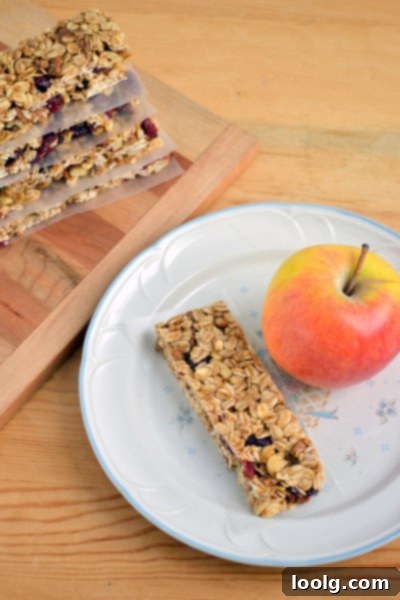 DSC_0046 Homemade No-Bake Cinnamon Cranberry Granola Bars, a quick and healthy snack