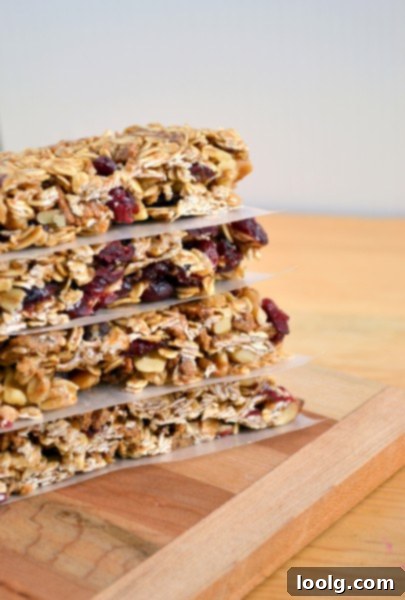 DSC_0047 A stack of golden brown no-bake granola bars with visible oats and cranberries