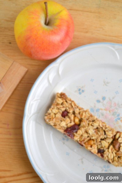 DSC_0065 Individual no-bake granola bars on a white plate, highlighting their texture