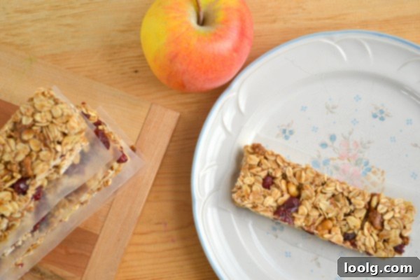 DSC_0066 Close-up of a single no-bake granola bar, showcasing the oats and dried cranberries