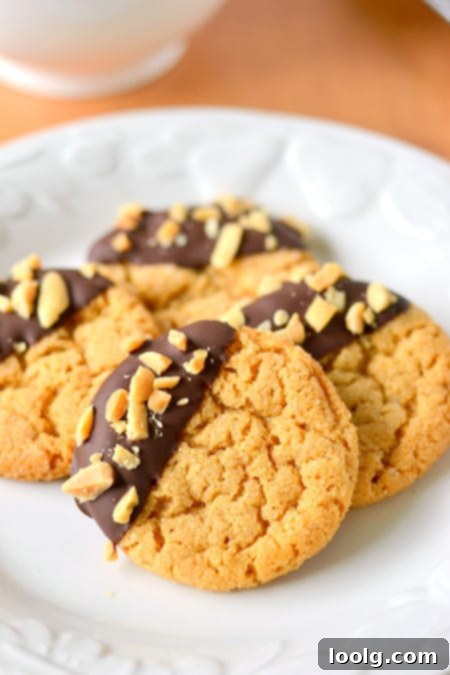 Guilt-Free Festive Bakes 14 Chocolate Dipped Flourless Peanut Butter Cookies