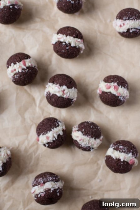 Guilt-Free Festive Bakes 15 Chocolate Peppermint Sandwich Cookies