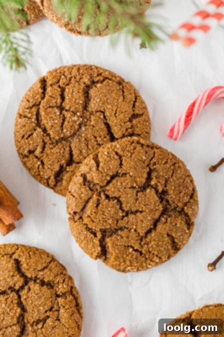 Guilt-Free Festive Bakes 17 Molasses Cookies
