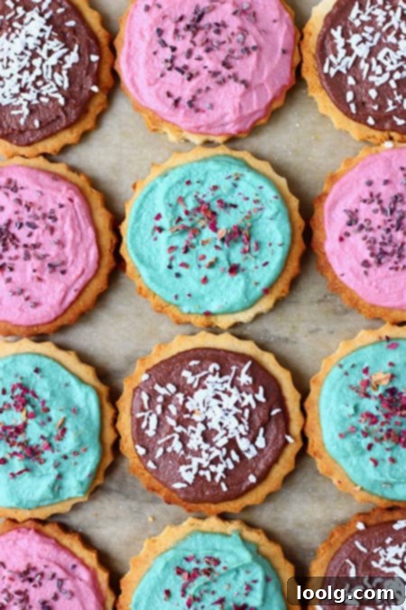 Guilt-Free Festive Bakes 18 Gluten-Free Vegan Sugar Cookies