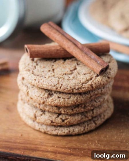Guilt-Free Festive Bakes 20 Cinnamon Sugar Cookies