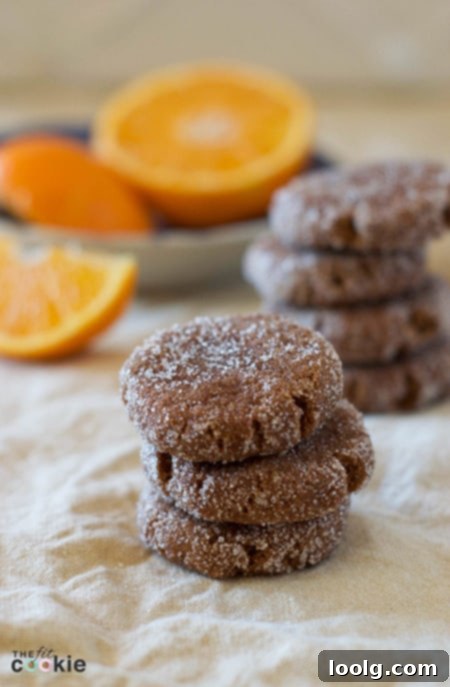 Guilt-Free Festive Bakes 22 Grain-Free Chocolate Orange Cookies