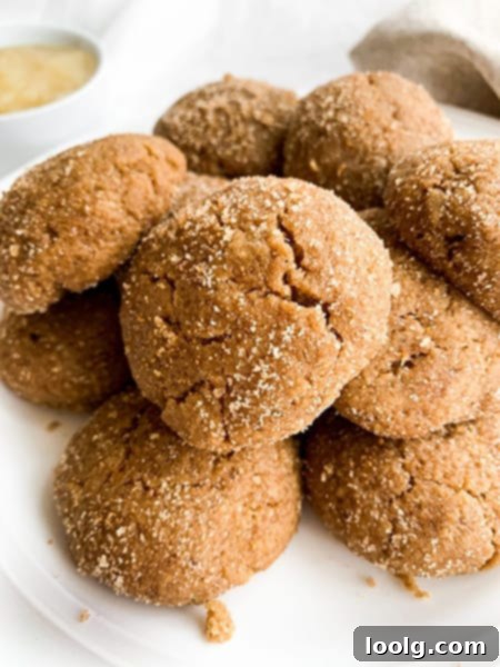 Guilt-Free Festive Bakes 23 Gluten-Free Vegan Snickerdoodles