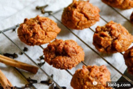Guilt-Free Festive Bakes 24 Spiced Paleo Sweet Potato Cookies