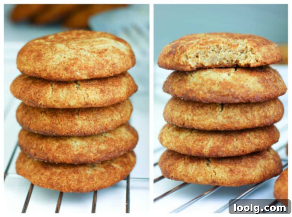 Guilt-Free Festive Bakes 27 Paleo and AIP Snickerdoodles