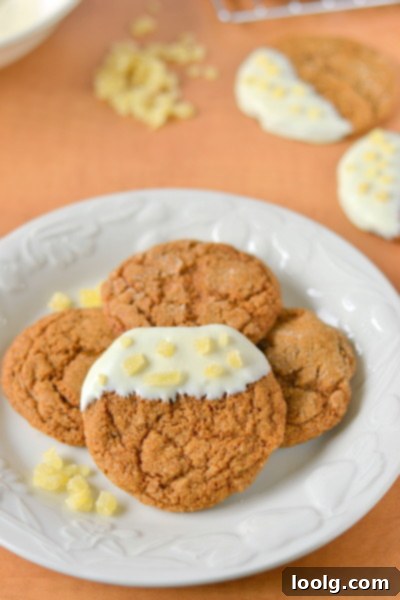 Guilt-Free Festive Bakes 4 Chewy 100% Whole Wheat Gingersnaps