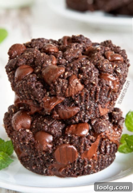 Guilt-Free Festive Bakes 31 Paleo Vegan Peppermint Cookies
