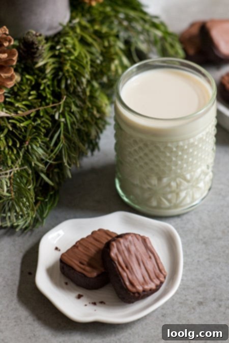 Guilt-Free Festive Bakes 7 Vegan Chocolate Ginger Cookies