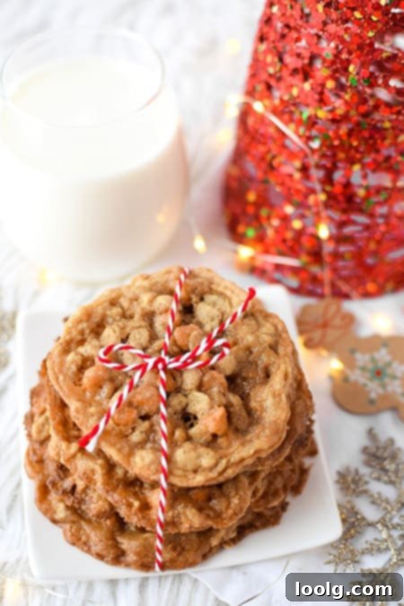Guilt-Free Festive Bakes 8 Gluten-Free Butterscotch Oatmeal Cookies