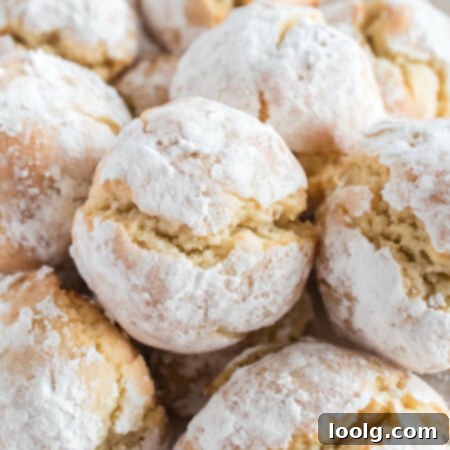 Almond Amore Bites 13 Closeup of Italian Almond Cookies with powdered sugar