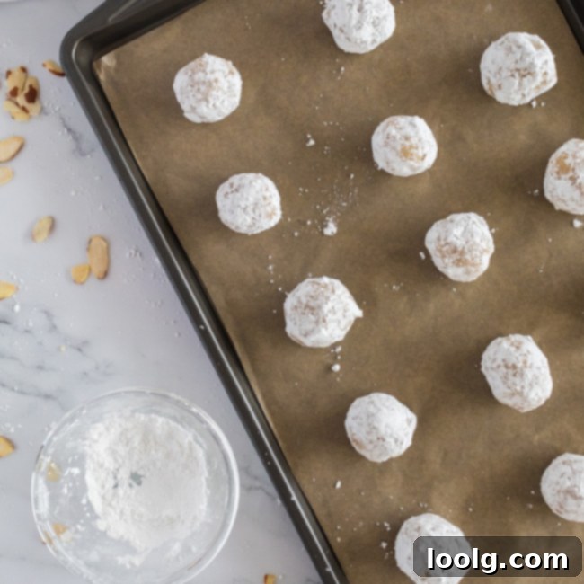 Almond Amore Bites 9 Rolled Italian cookie dough balls, coated in powdered sugar, arranged on a baking sheet lined with parchment paper