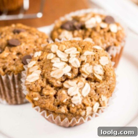 Wholesome Spelt Banana Muffins 2 Spelt Oat Banana Muffins