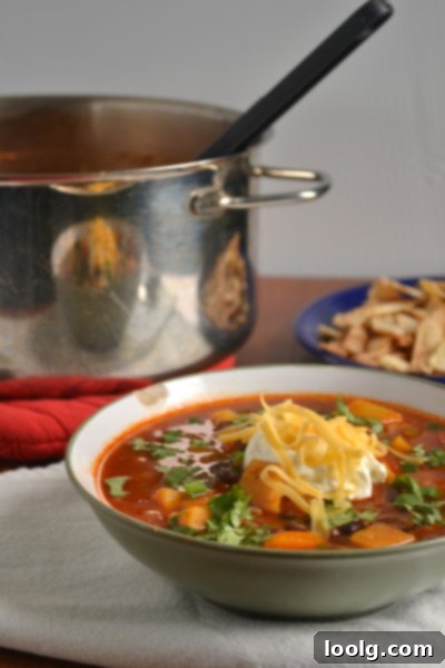 Fiesta Butternut and Black Bean Soup 8 A top-down view of the beautifully presented Butternut Squash and Black Bean Taco Soup with generous toppings
