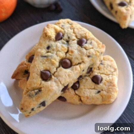 Zesty Chocolate Scone Delight 5 Chocolate Orange Scones (gluten-free, whole wheat, traditional options)