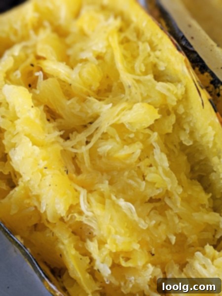 Golden Strands Alfredo 6 Close-up of stripetti squash interior with a fork showing the strands
