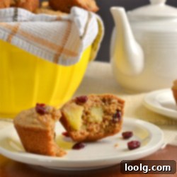 Rustic Apple Cranberry Bran Muffins 1 Apple Cranberry Bran Muffins