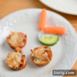 Quinoa Pizza Poppers 1 Mini Pizza Quinoa Bites