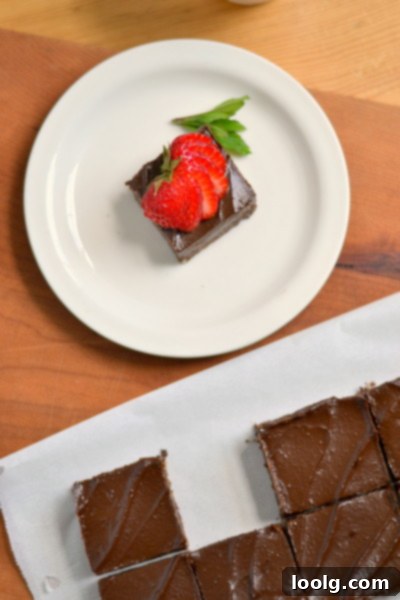 Raw Vegan Fudgy Chocolate Brownie Bliss 10 Serving of Raw Vegan Chocolate Frosted Brownie with Fresh Strawberries